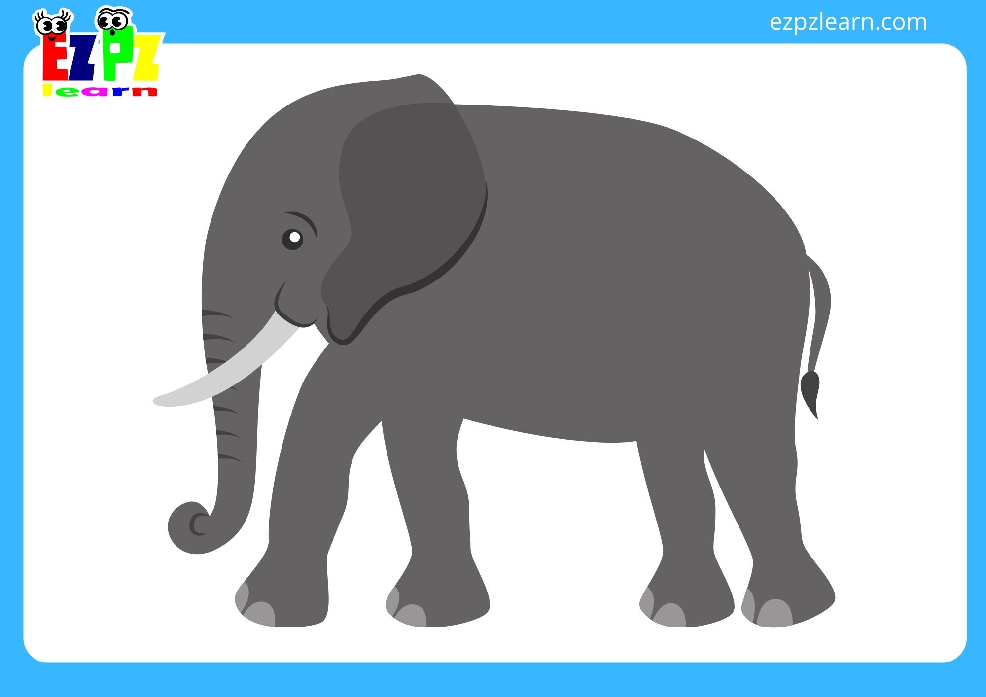 elephant